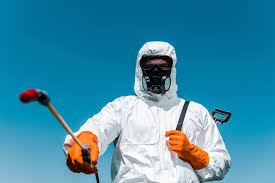 Best Outdoor Pest Control  in Loomis, CA